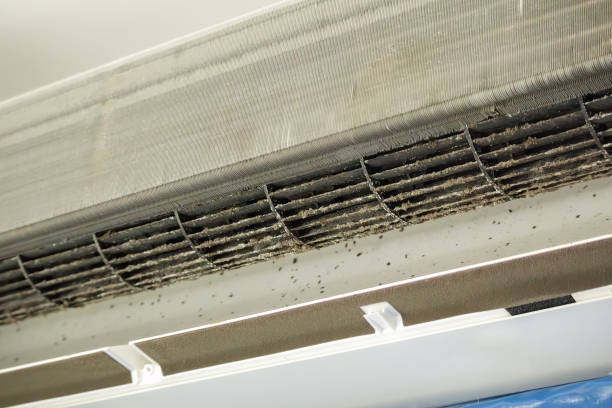 Best Professional Duct Cleaning Services  in Green Cove Springs, FL